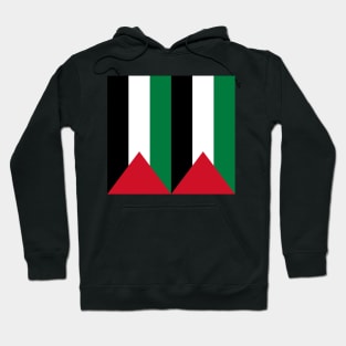 Palestine Hoodie